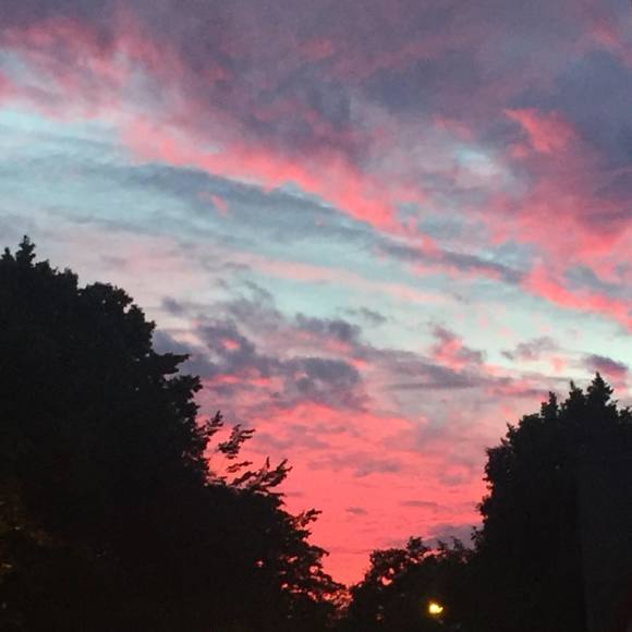 Meet your Posher, Oshi - Picture 1 of 1